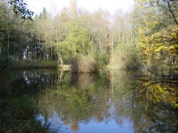 Weiher2